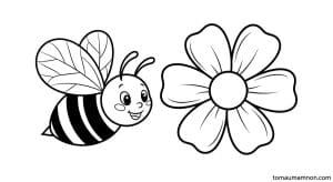 bong hoa 5 canh vector 1