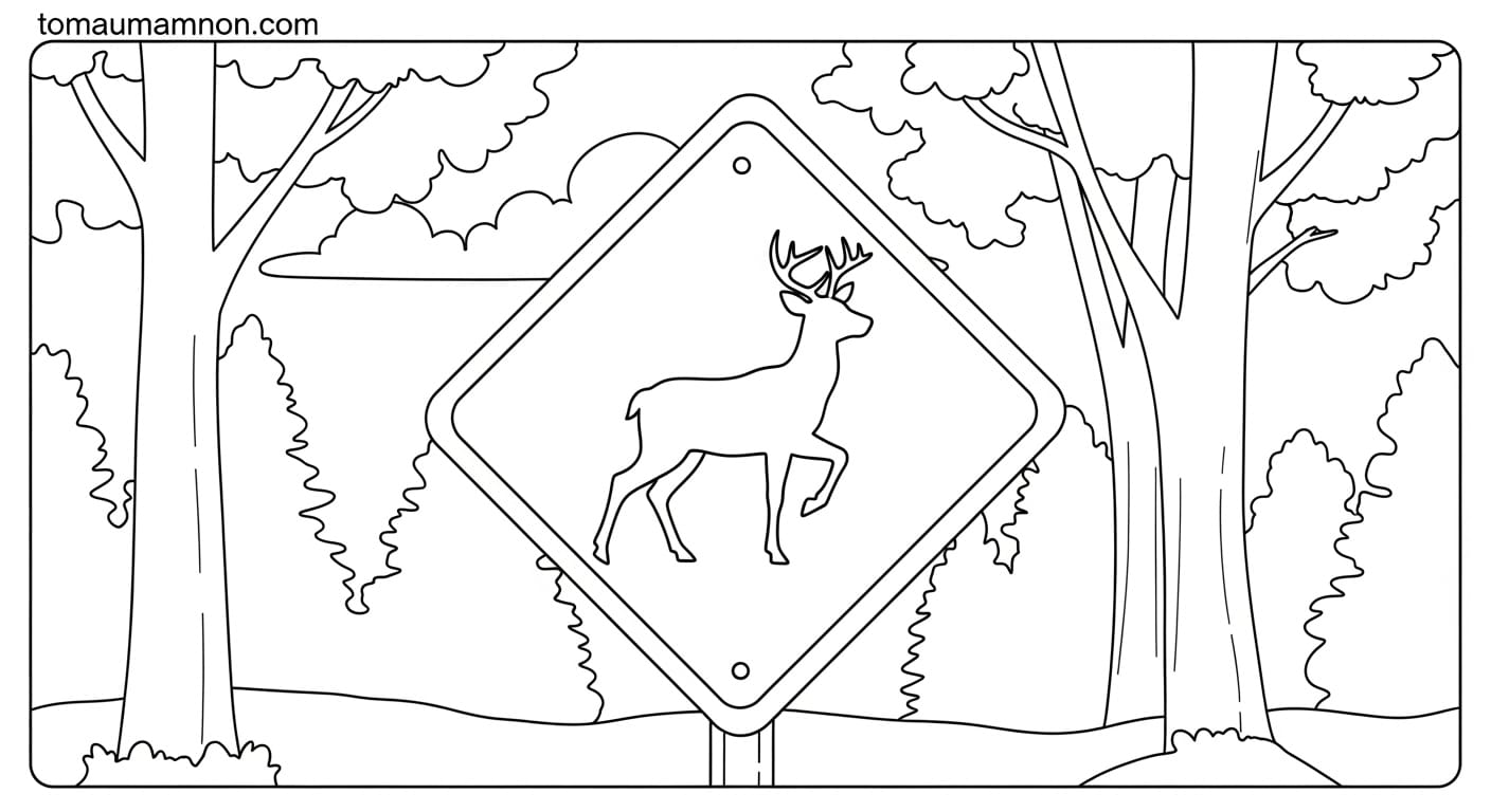 biển báo giao thông xe đạp