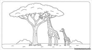 to mau huou cao co 1