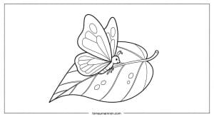 tranh to mau con buom 1