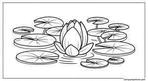 tranh to mau hoa sen 1