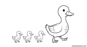 hinh to mau con vit 1