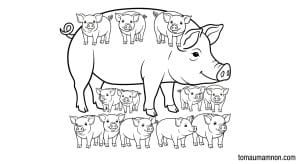 to mau tranh dong ho 1