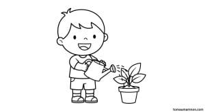 tranh to mau chu de thuc vat 1