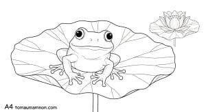 tranh to mau la sen 1